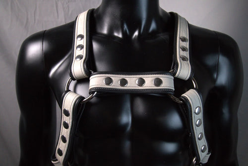 Bulldog Harness with waist straps