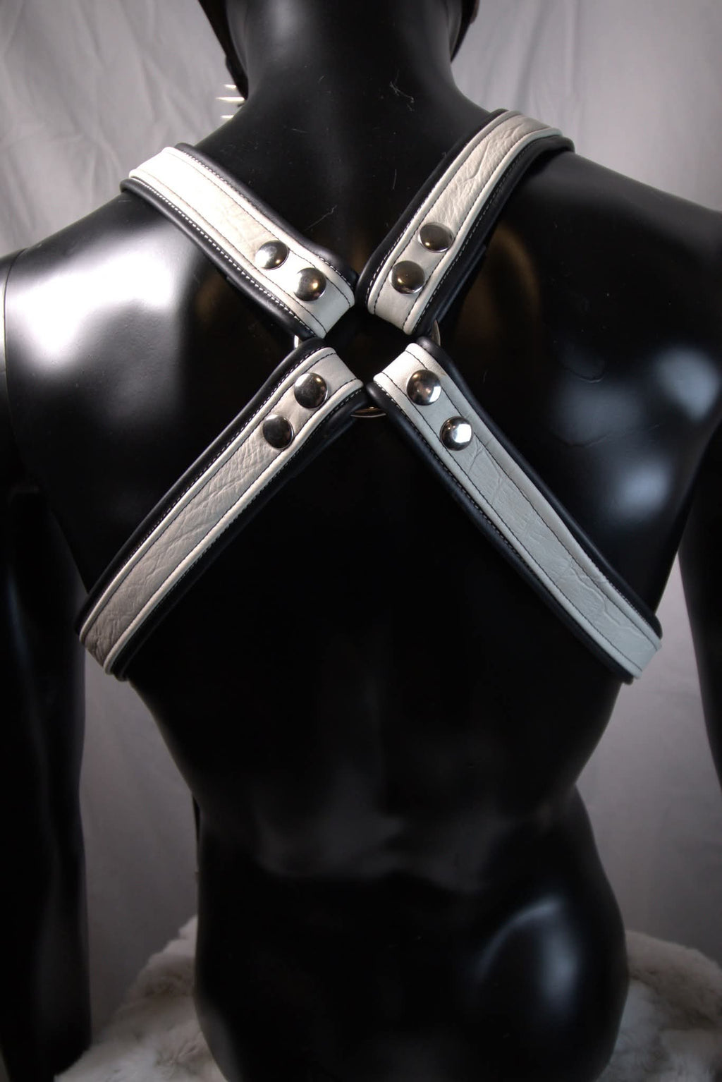 Bulldog Harness with waist straps