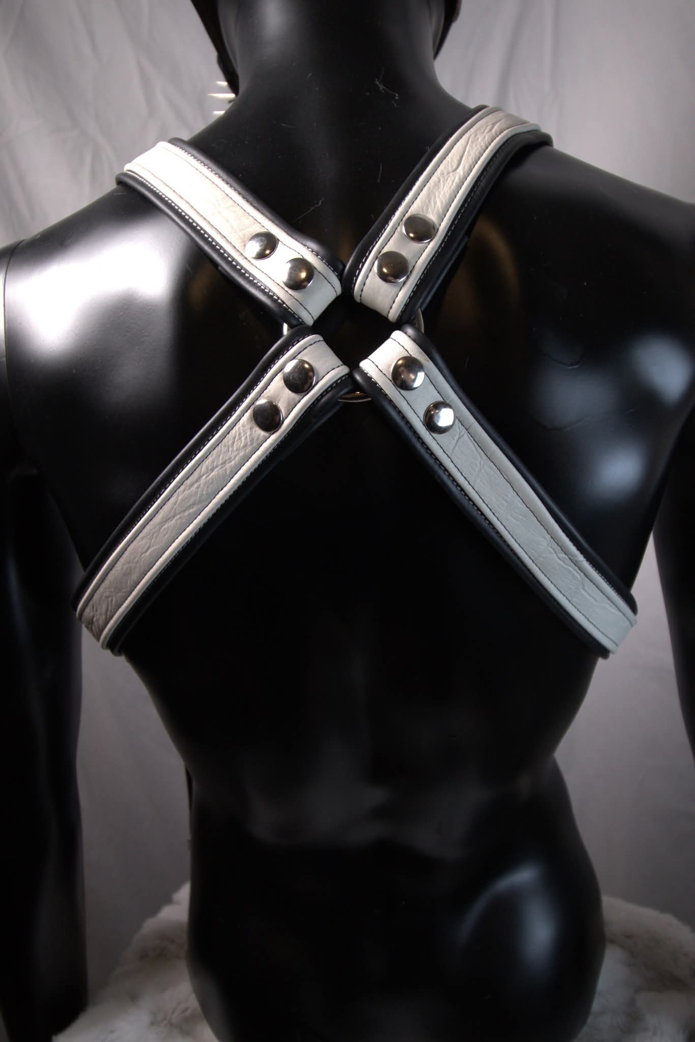 Bulldog Harness with waist straps