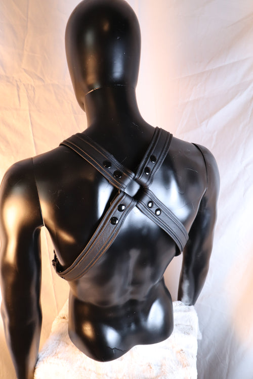 Black Leather Bulldog Harness with Waist Straps