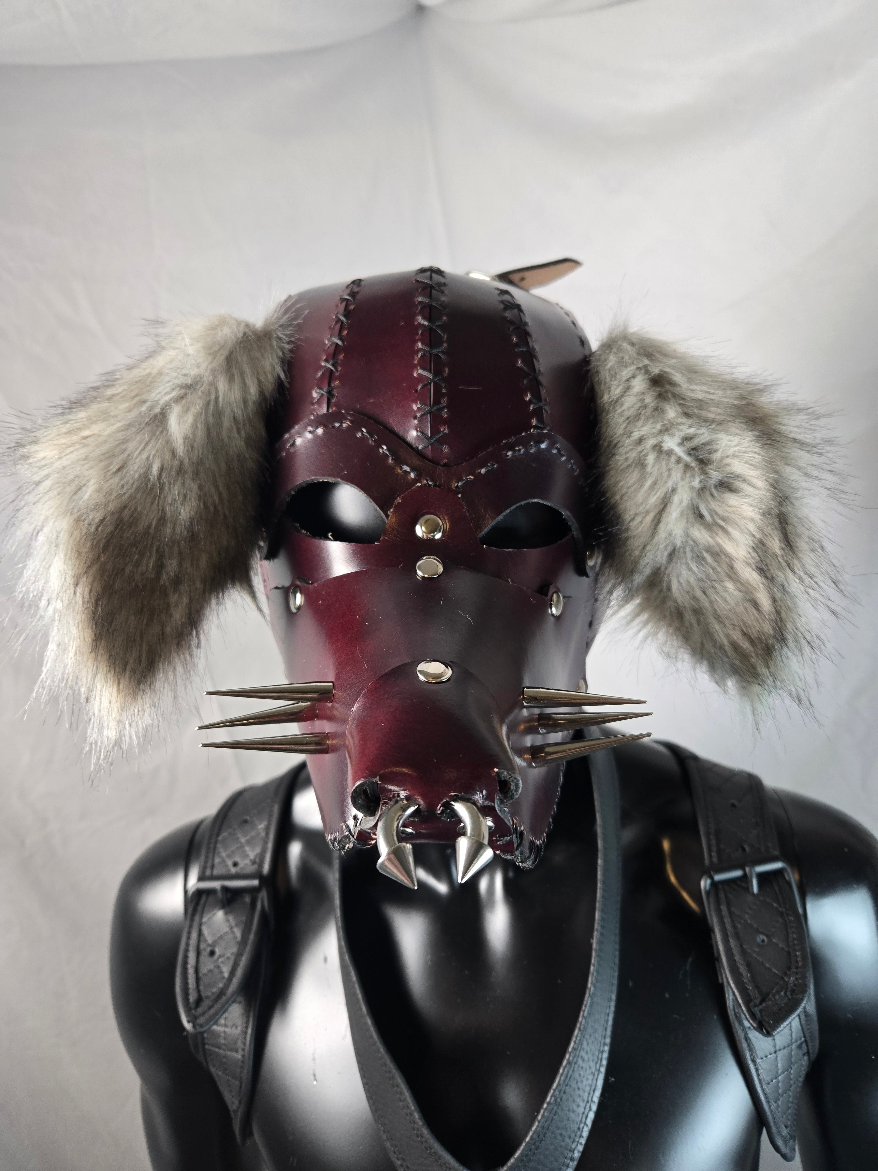 Pup Hood