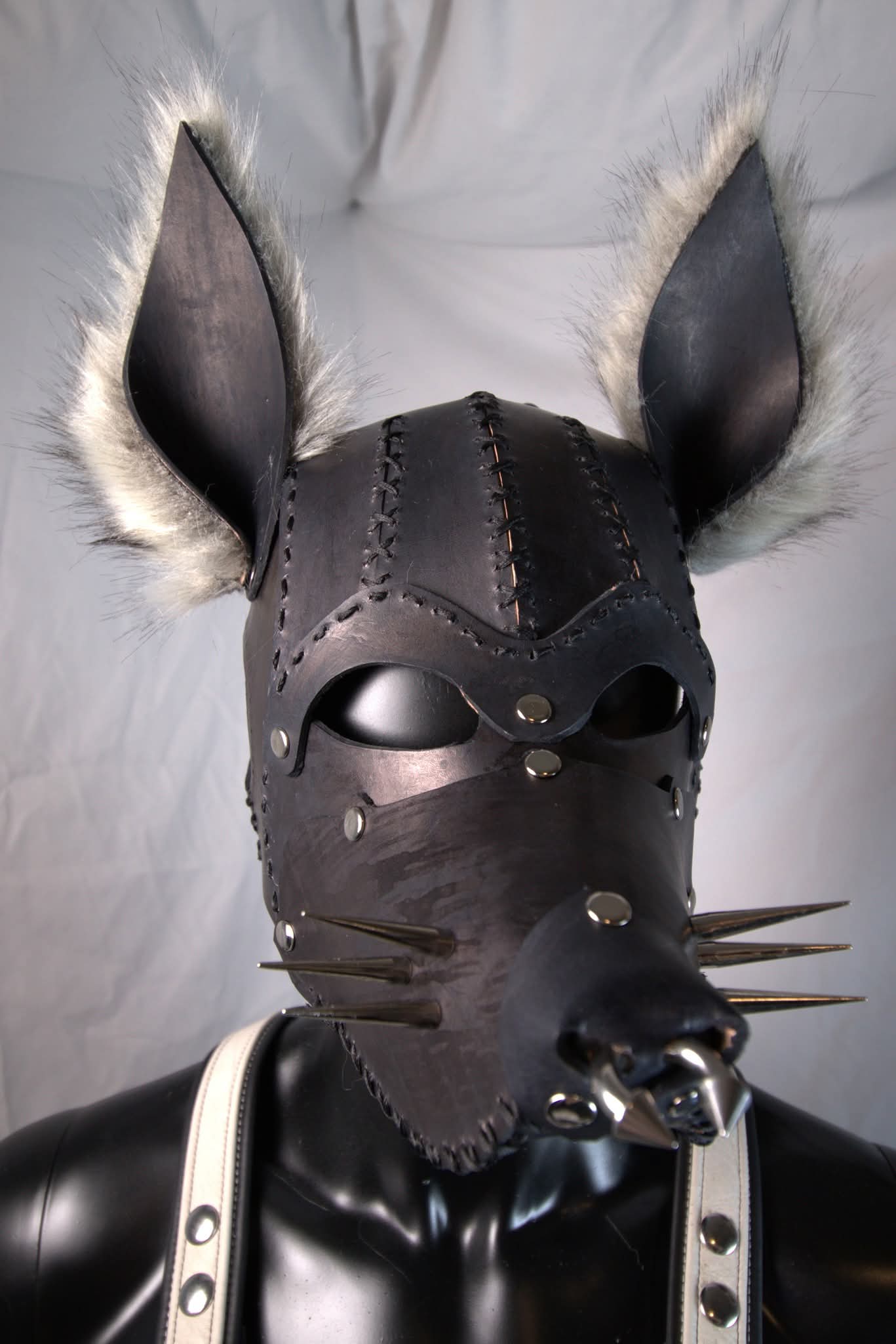 Pup Hood