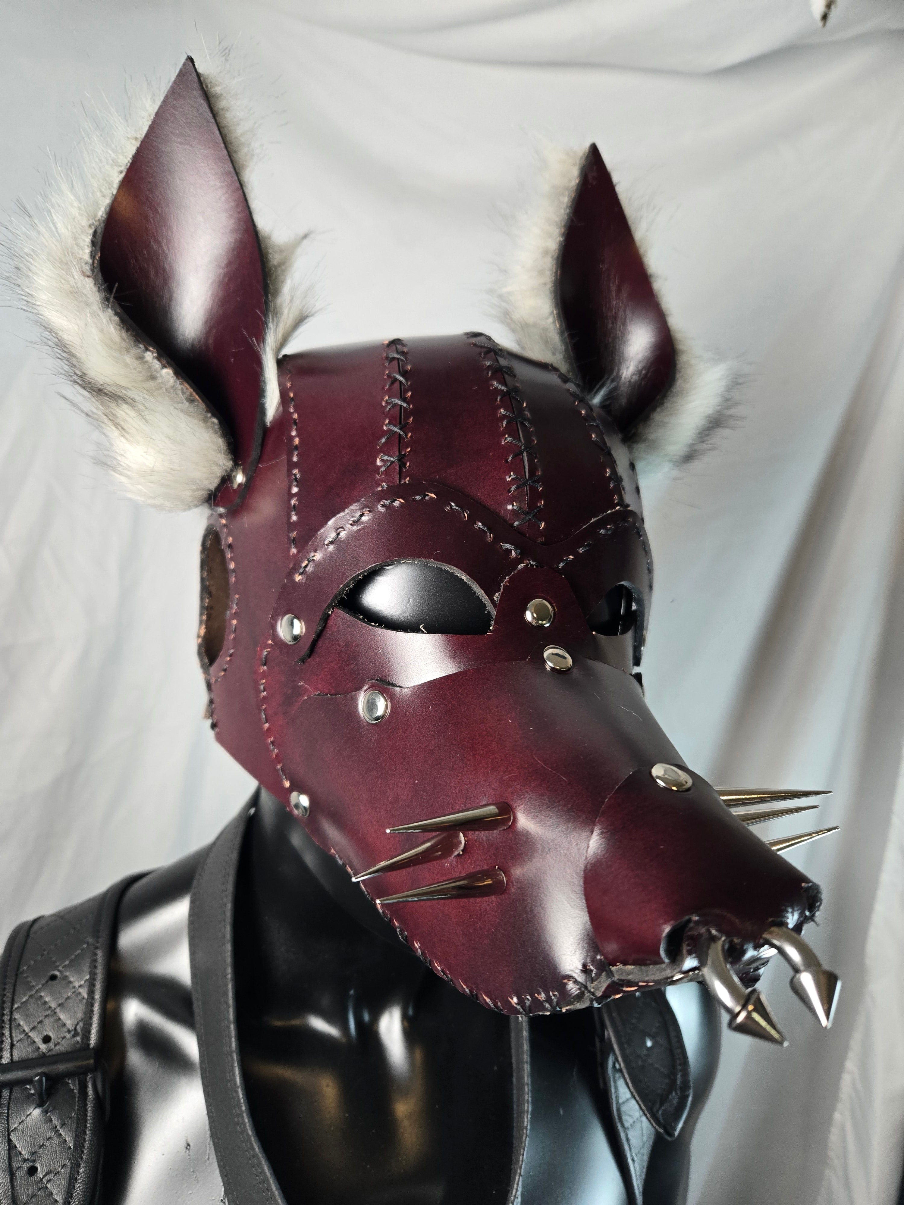 Pup Hood