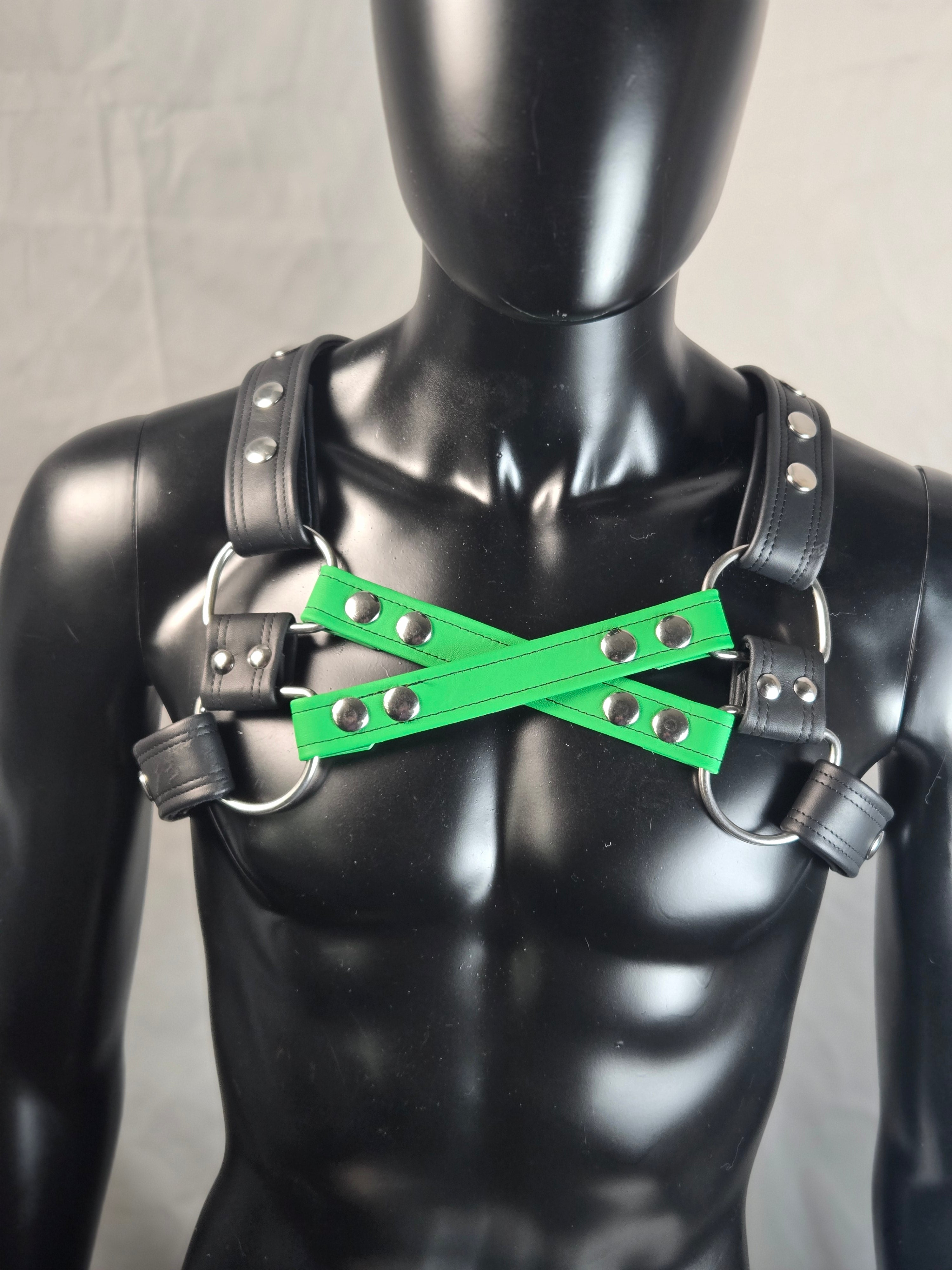 Double Harness