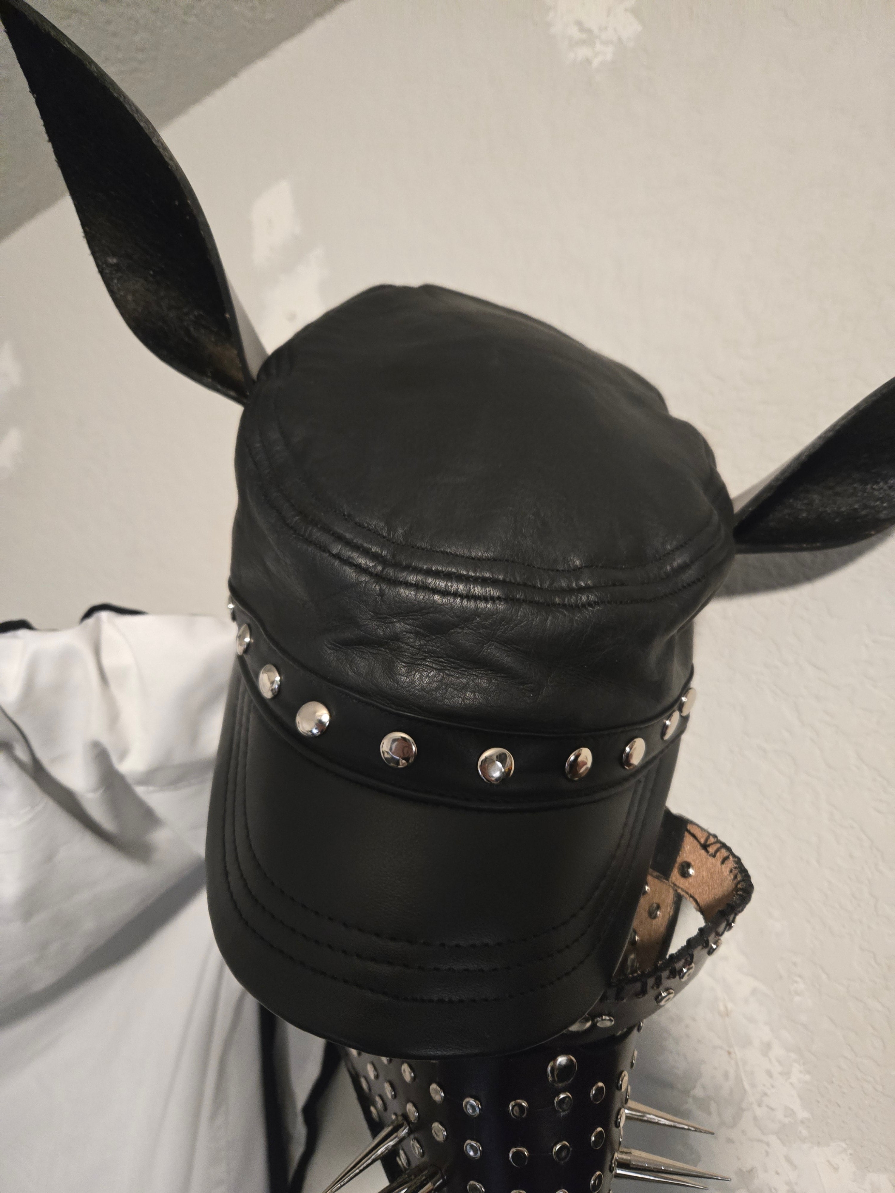 Pup Hats