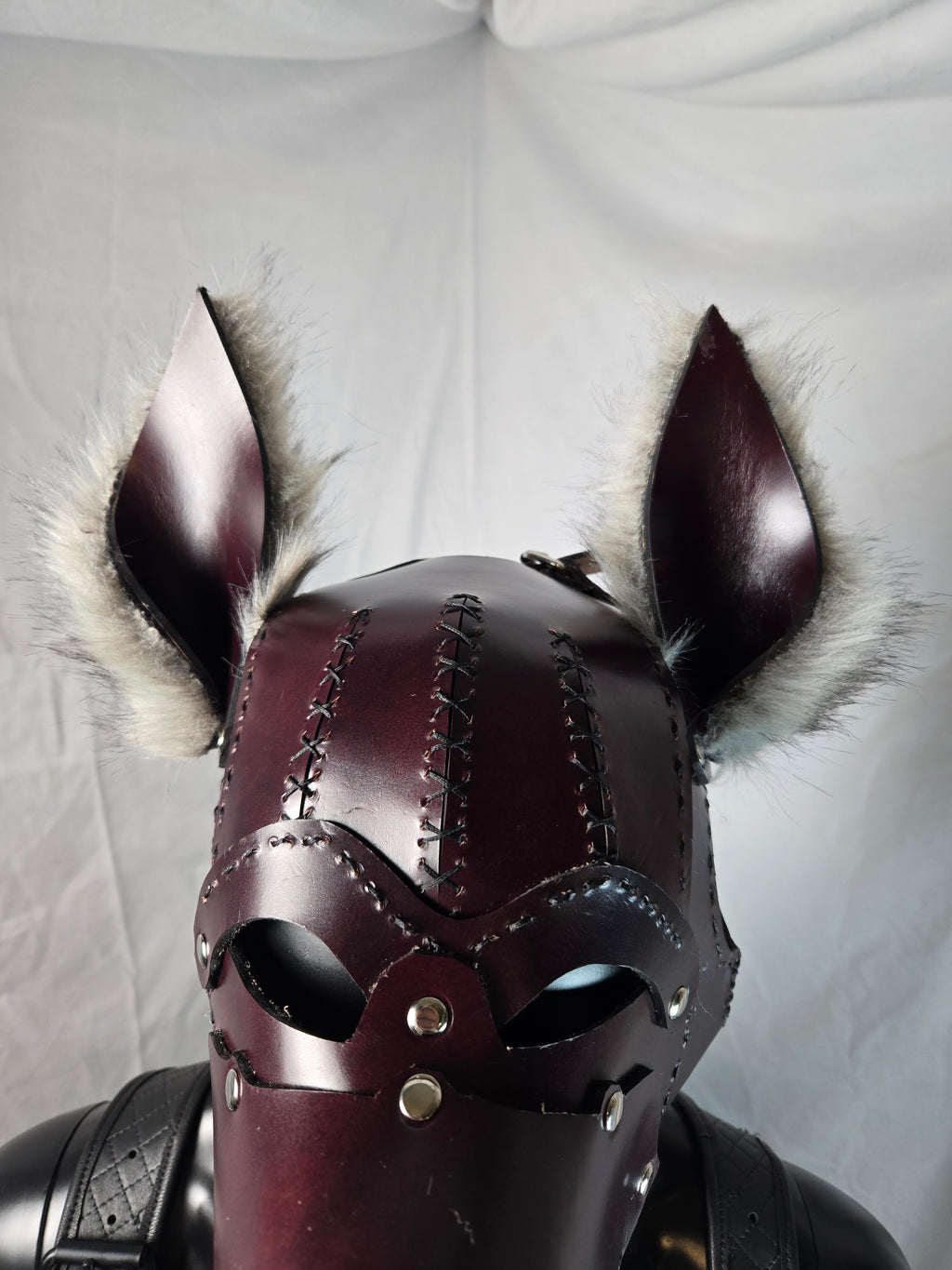 Pup Hood