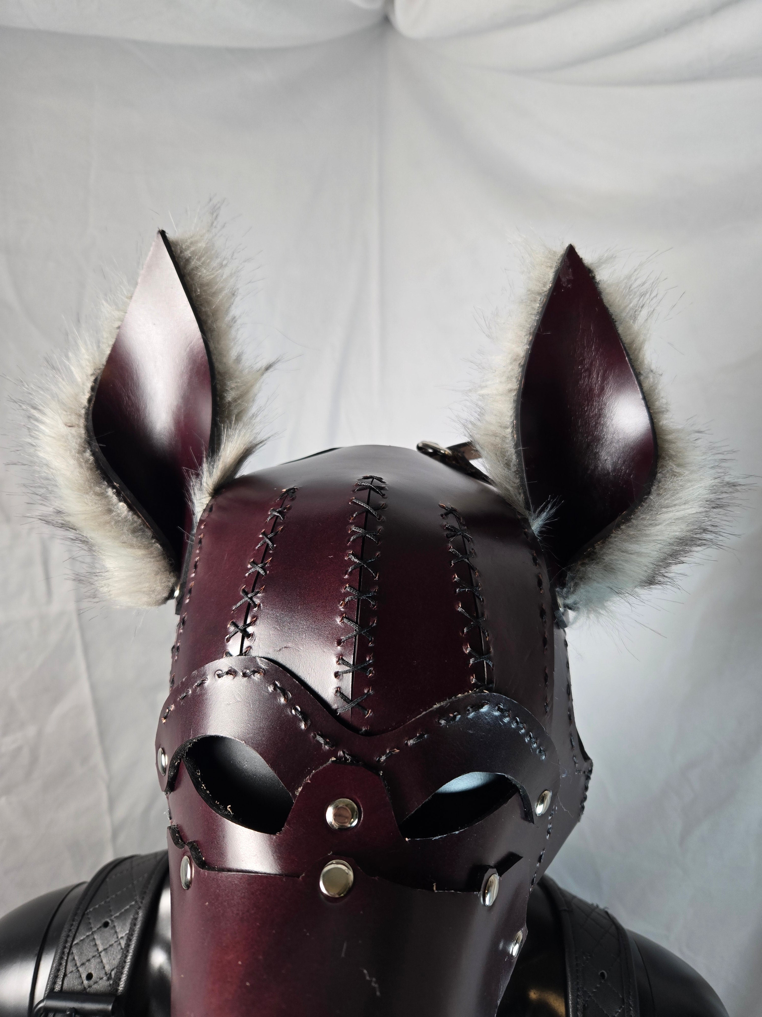 Pup Hood