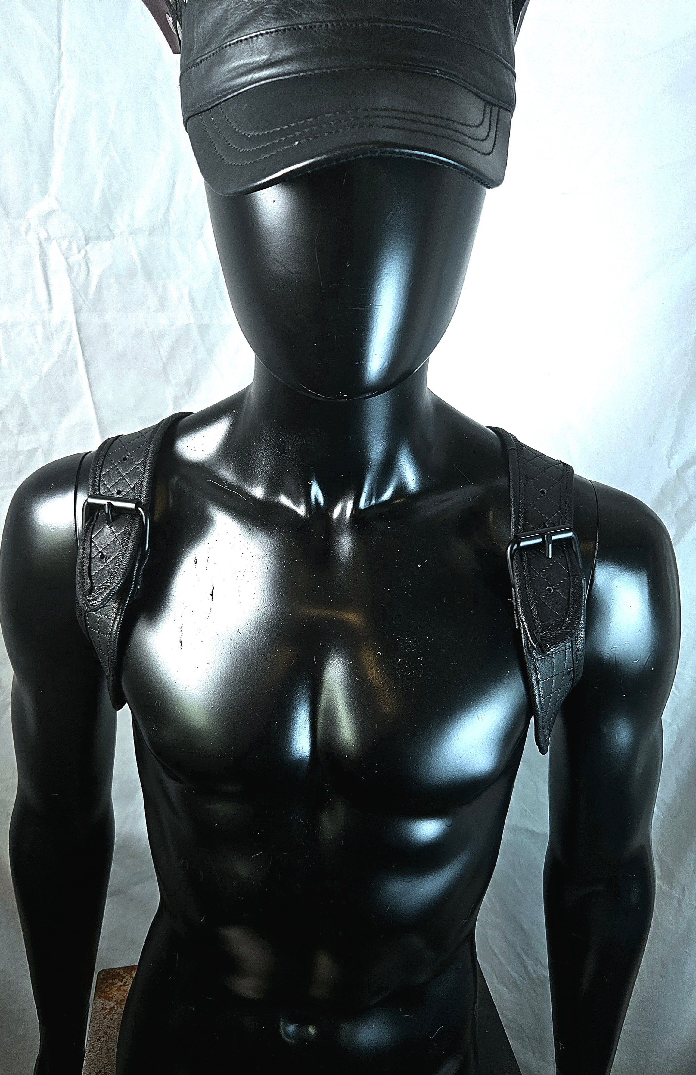 Shoulder Harness
